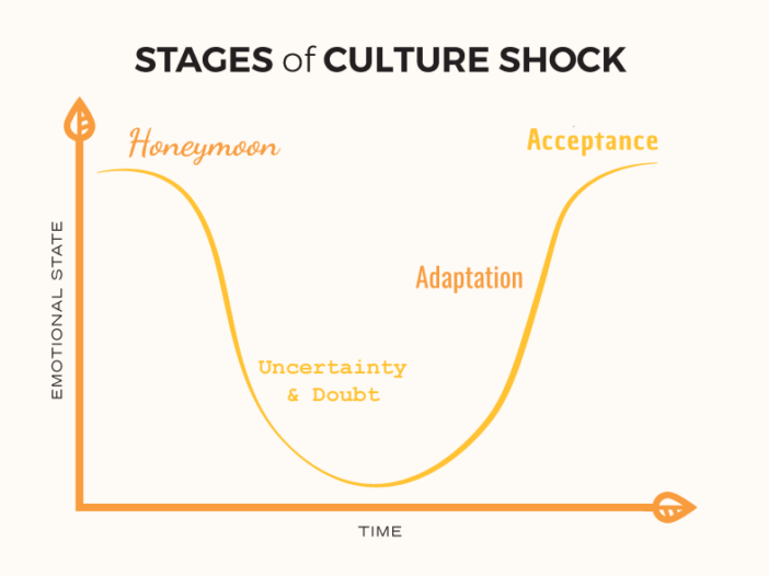 Graph of the culture shock of isolation